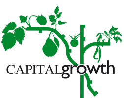 Capital Growth