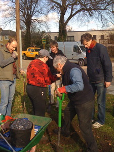Tree Planting