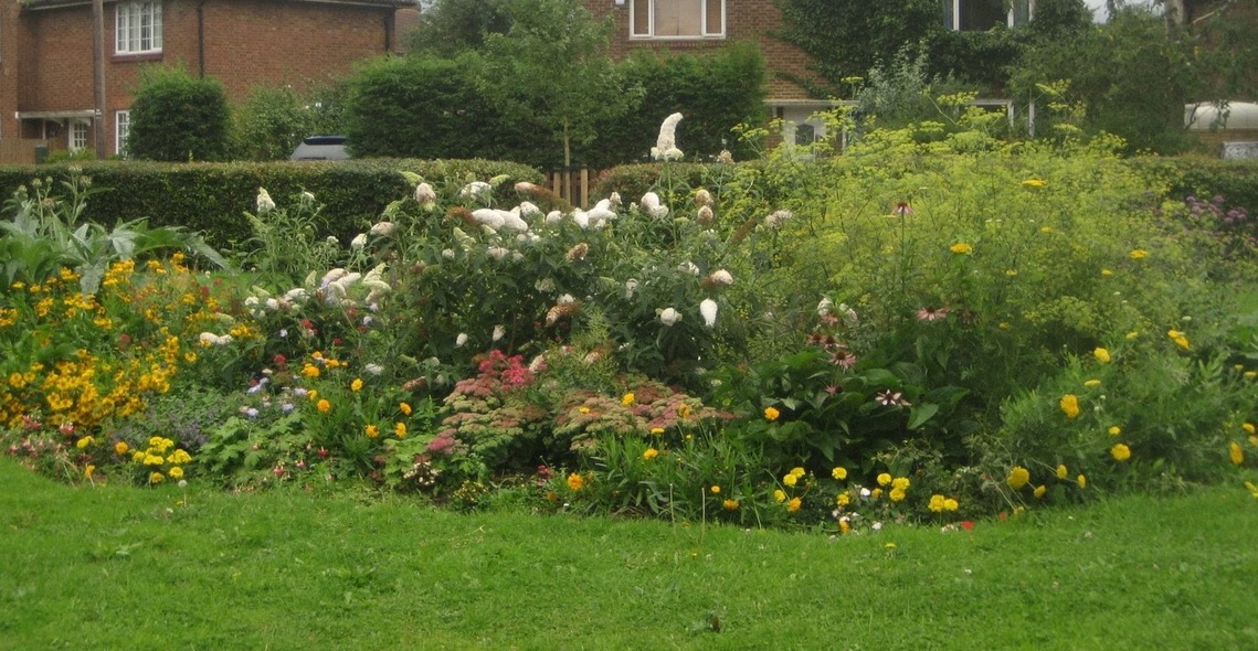 Ham Library Garden (cropped)