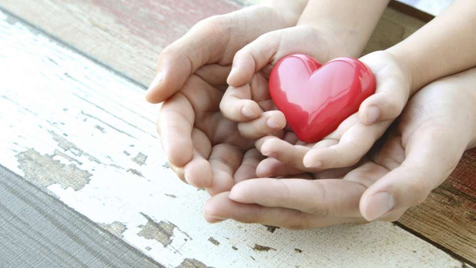 heart in hands