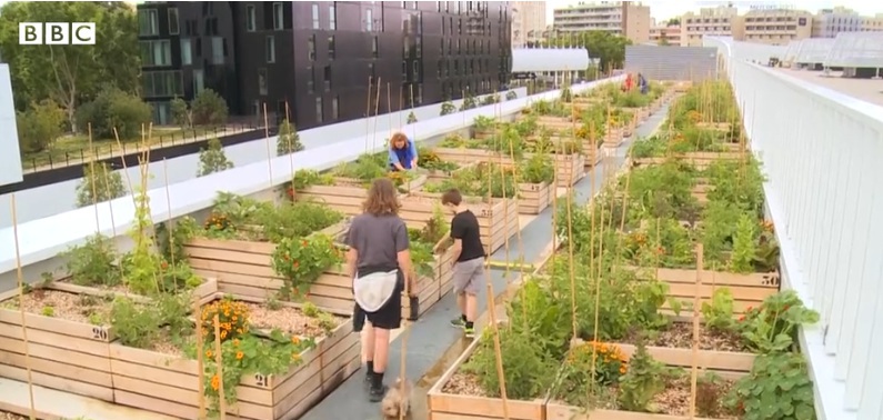 BBC_Paris_rooftop_farms_[cropped].jpg