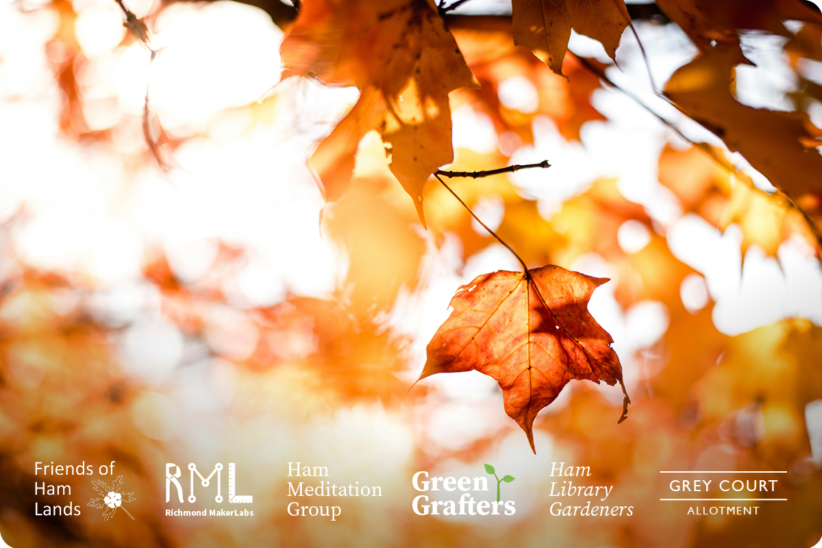 Website_logo_banner1200x800px.jpg