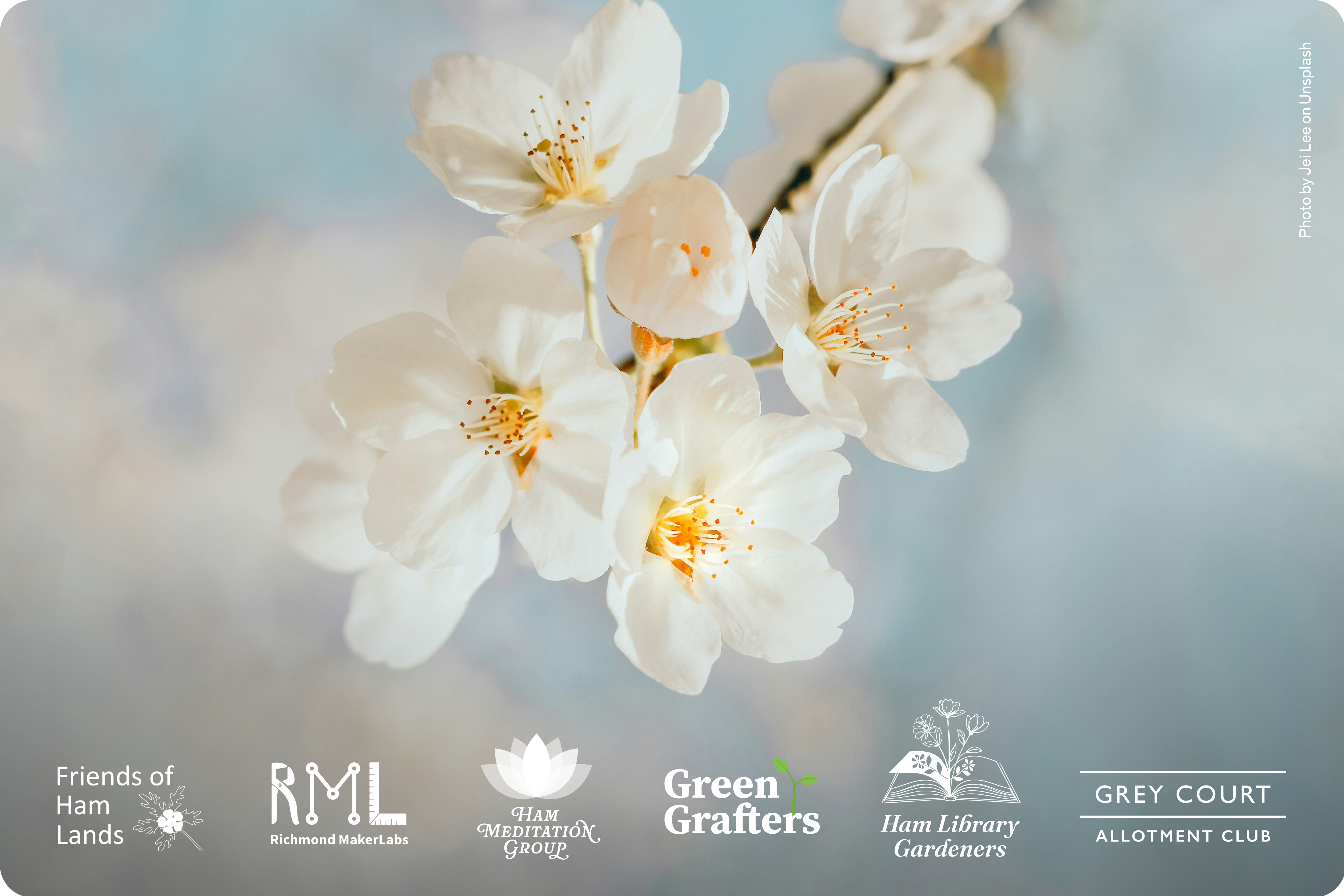 Website_logo_banner_spring.jpg