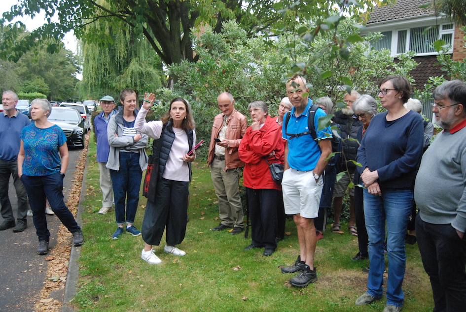 Green grafters walk