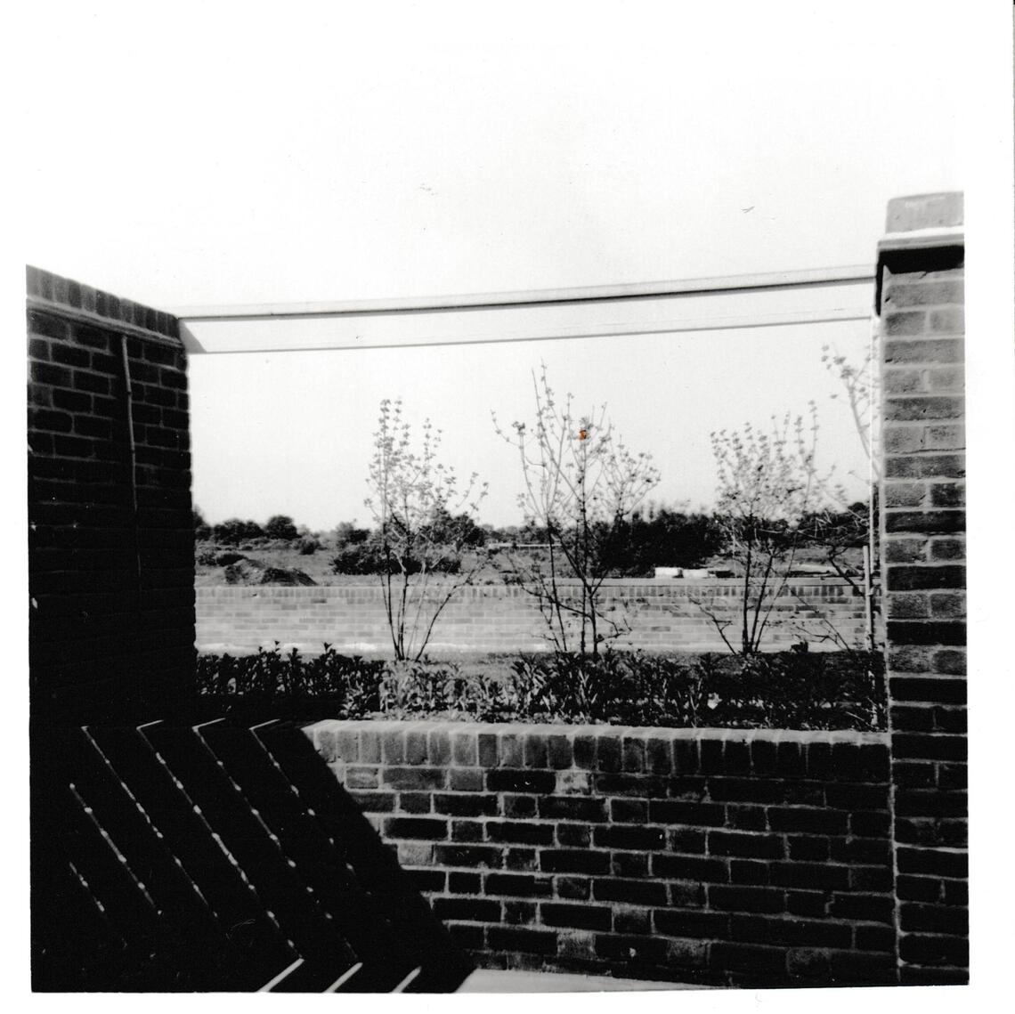 Ham Lands South from local naturalist Diane's garden in 1965 CREDIT Diane Bridson