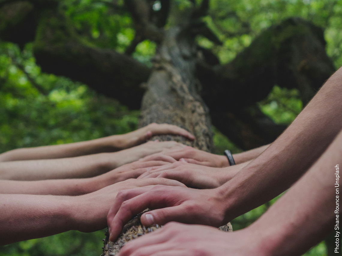 Hands on tree