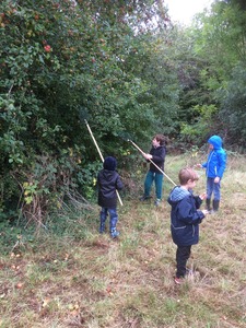 Apple picking