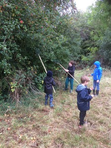 Apple picking