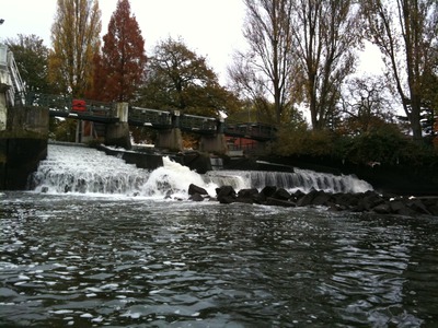 Weir Section Low Tide