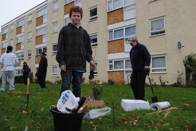 Planting at Ham Close